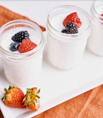 Homemade Yogurt in the Air Fryer