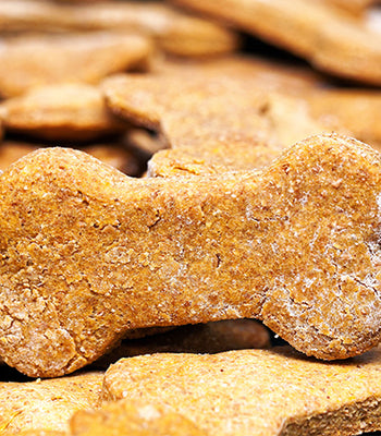 3 Ingredient Dog Treats