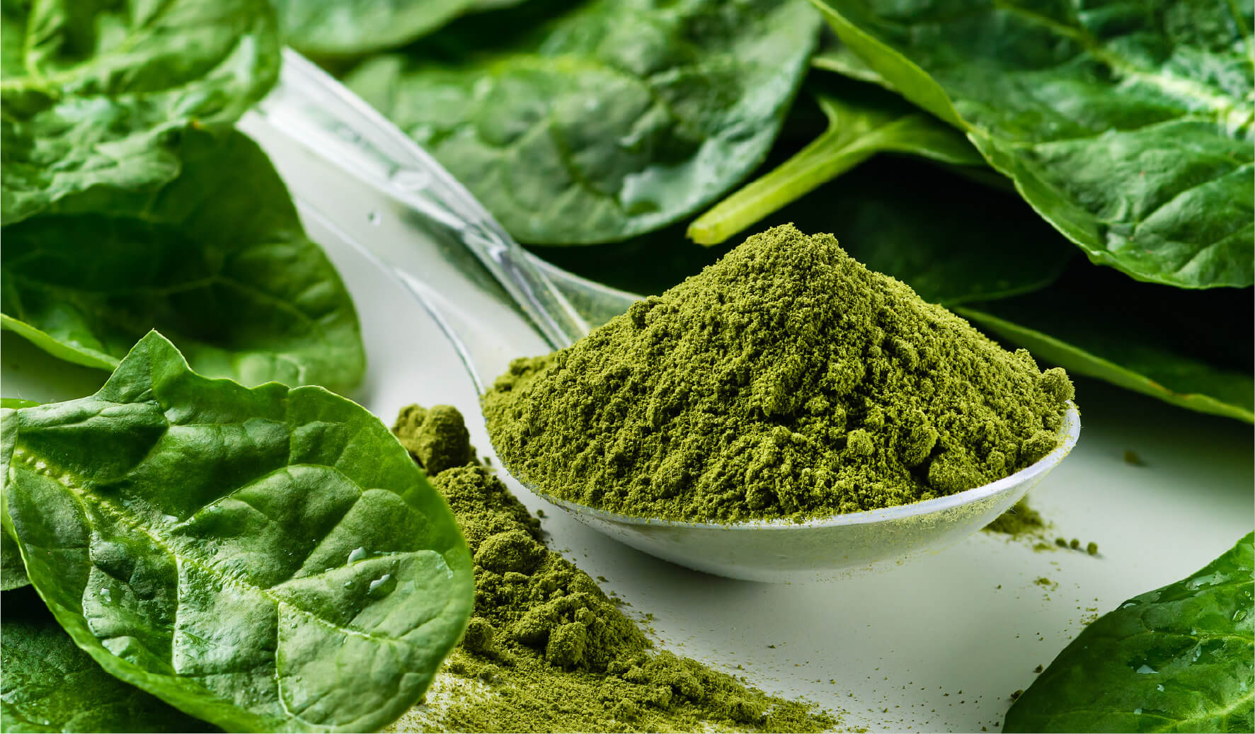 Superfood Greens Powder