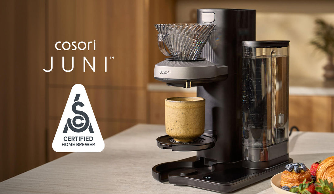 Cosori Juni coffee maker on a countertop featuring the SCA Certified Home Brewer seal