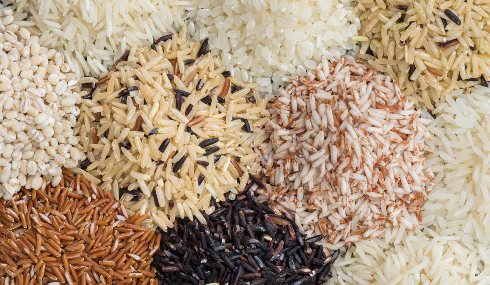 Piles of various raw rice types, including white, brown, red, and black grains, showcasing diverse colors.