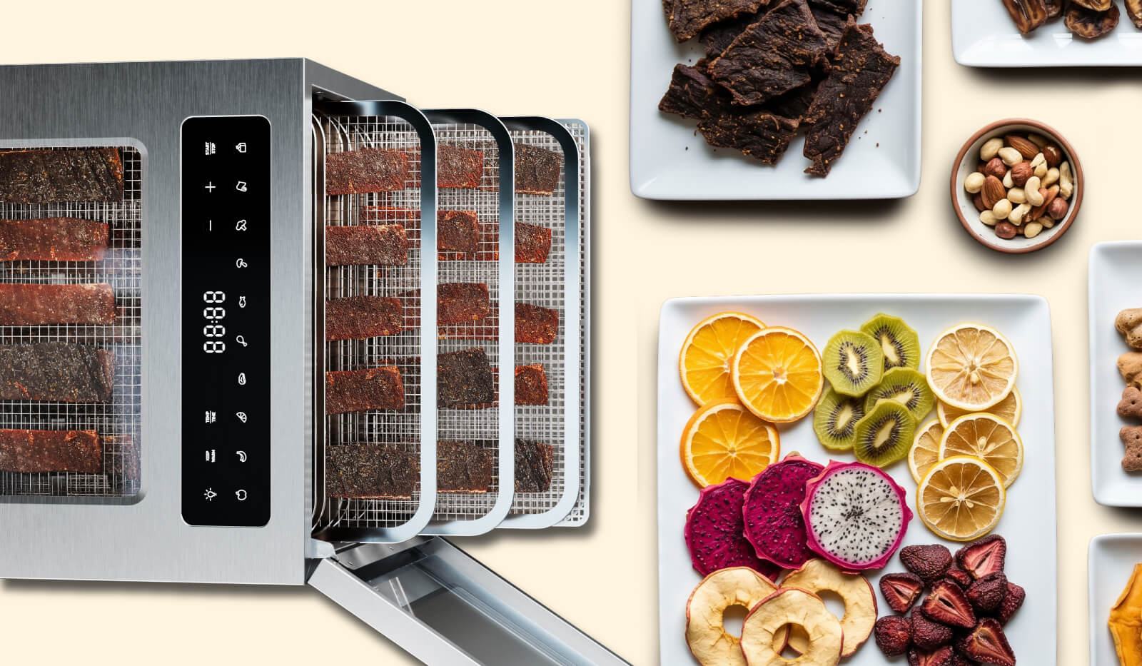 Best Dehydrator Recipes for Harvest Season