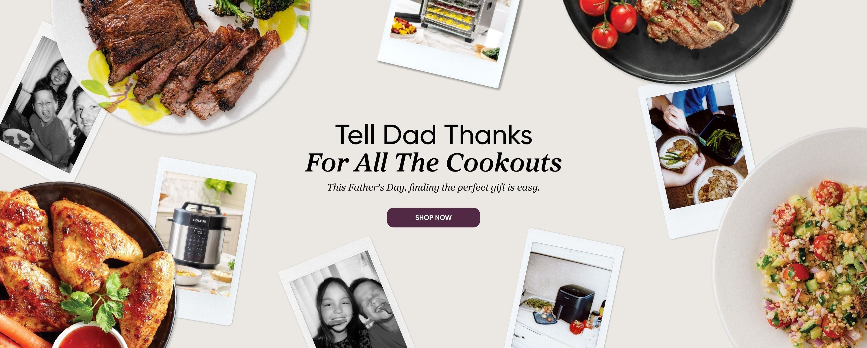 Cosori Fathers Day Guide