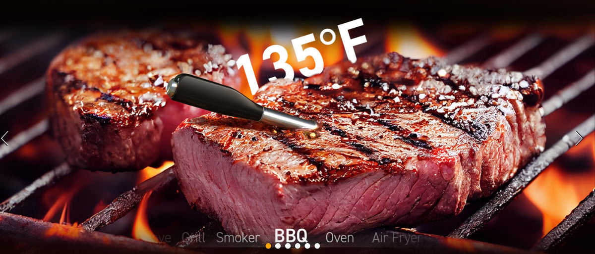 Grill meat thermometer best sale