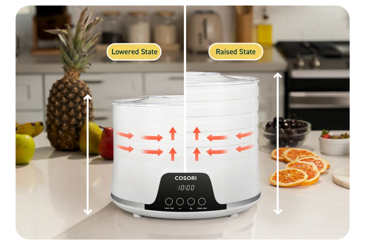 Can You Dehydrate in an AIR FRYER? → Cosori Air Fryer vs Cosori