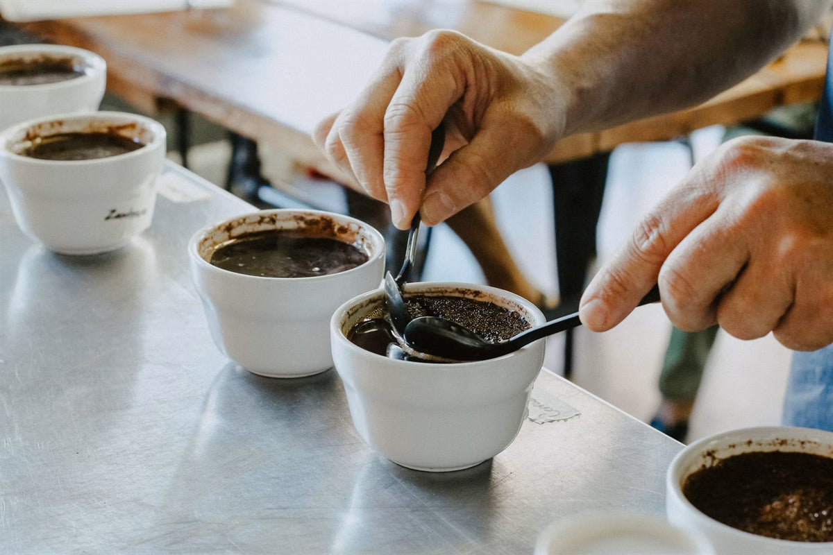 Cosori Enters Specialty Coffee Space with Juni™