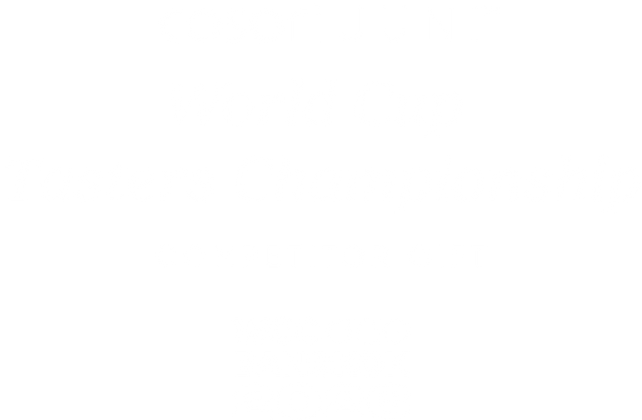Product Title