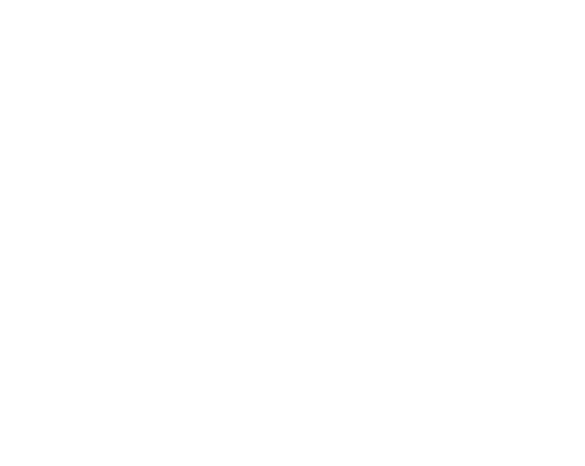 Product Title